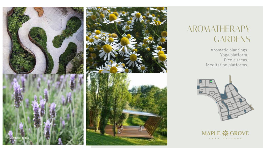 Maple Grove Park Village Aromatherapy Gardens