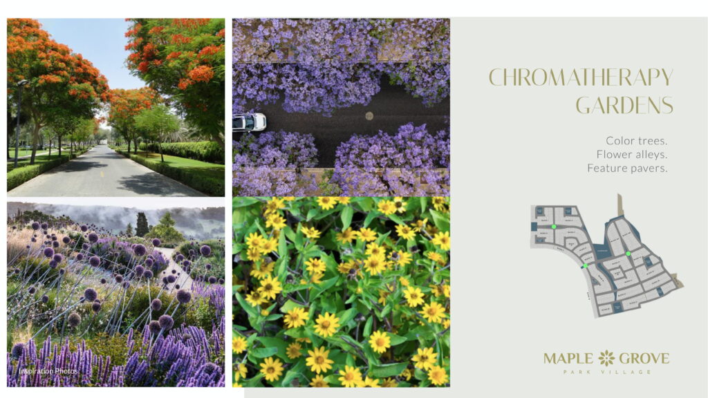 Maple Grove Park Village Chroma Therapy Gardens